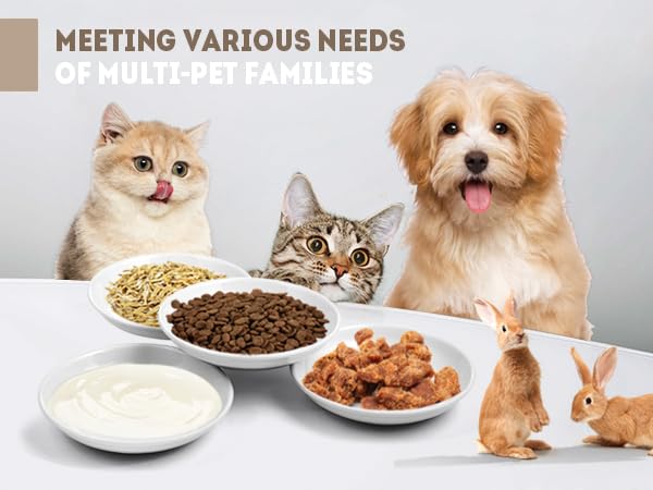 Yeahgo cat bowls with spring toy accessory adds playful enrichment between meals