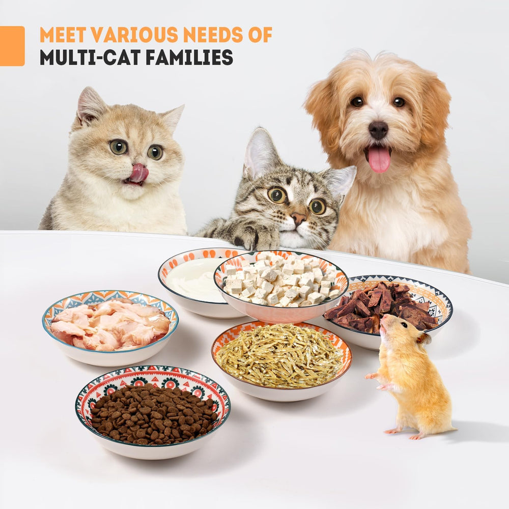 YEAHGO ceramic cat bowls kitten-meal setup emphasizes easy access for small paws during meals.