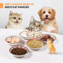 YEAHGO ceramic cat bowls kitten-meal setup emphasizes easy access for small paws during meals.