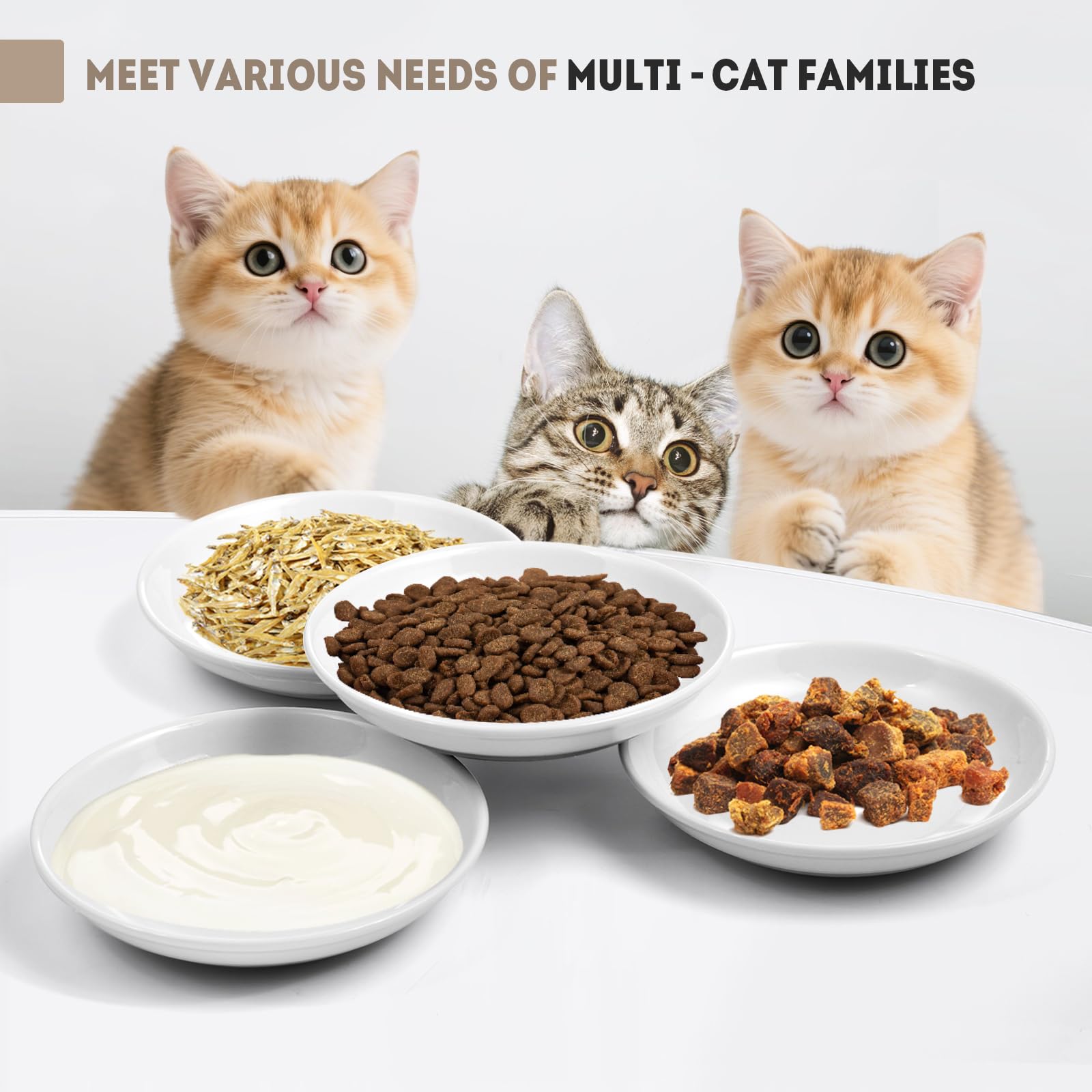 Yeahgo whisker-friendly dishes reduce whisker irritation for comfortable eating.