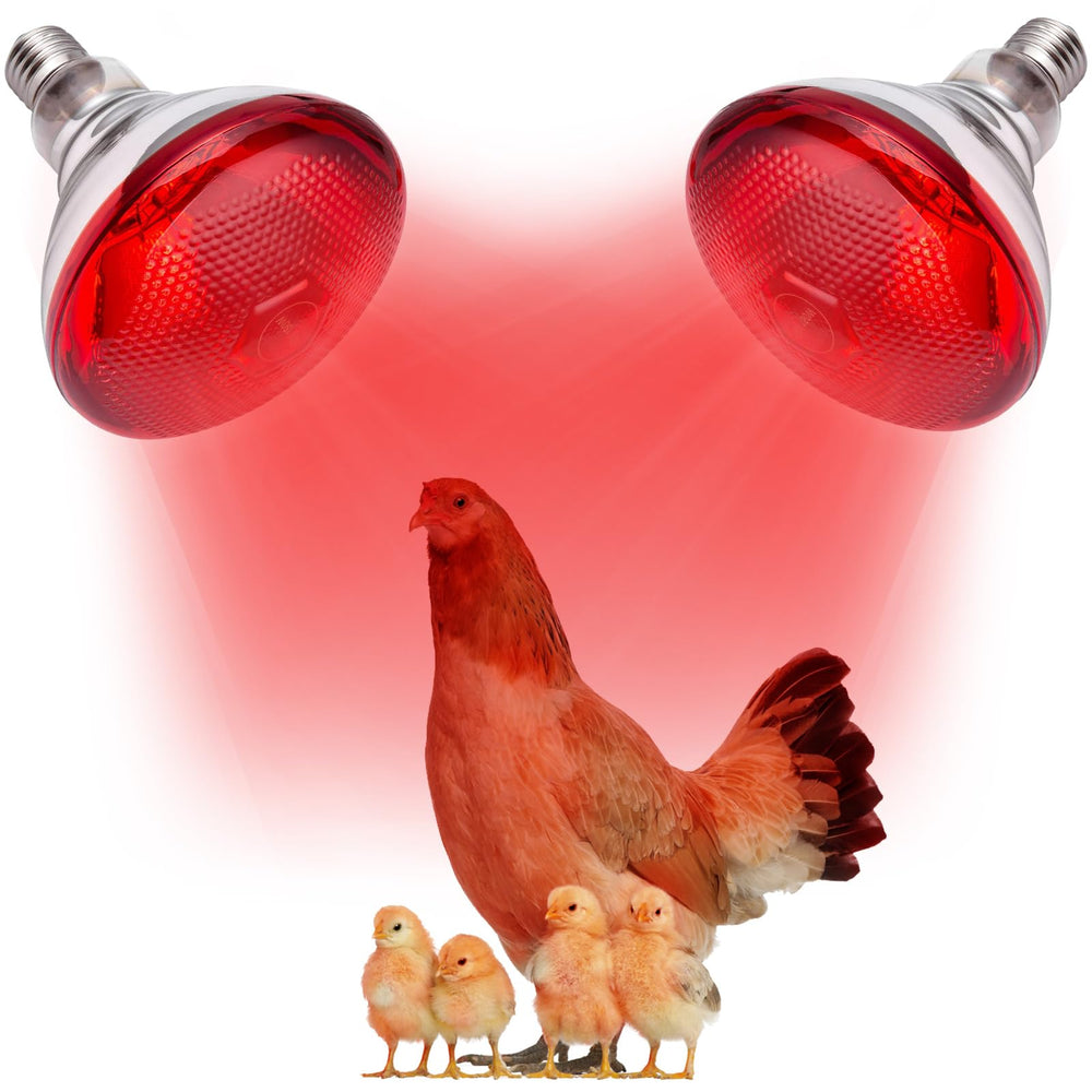 YEAOI 2-Pack Heat Bulb delivers warm brooder warmth for healthy chicks.