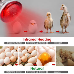 YEAOI 2-Pack Heat Bulb offers infrared warmth for ducklings in a cozy nest.