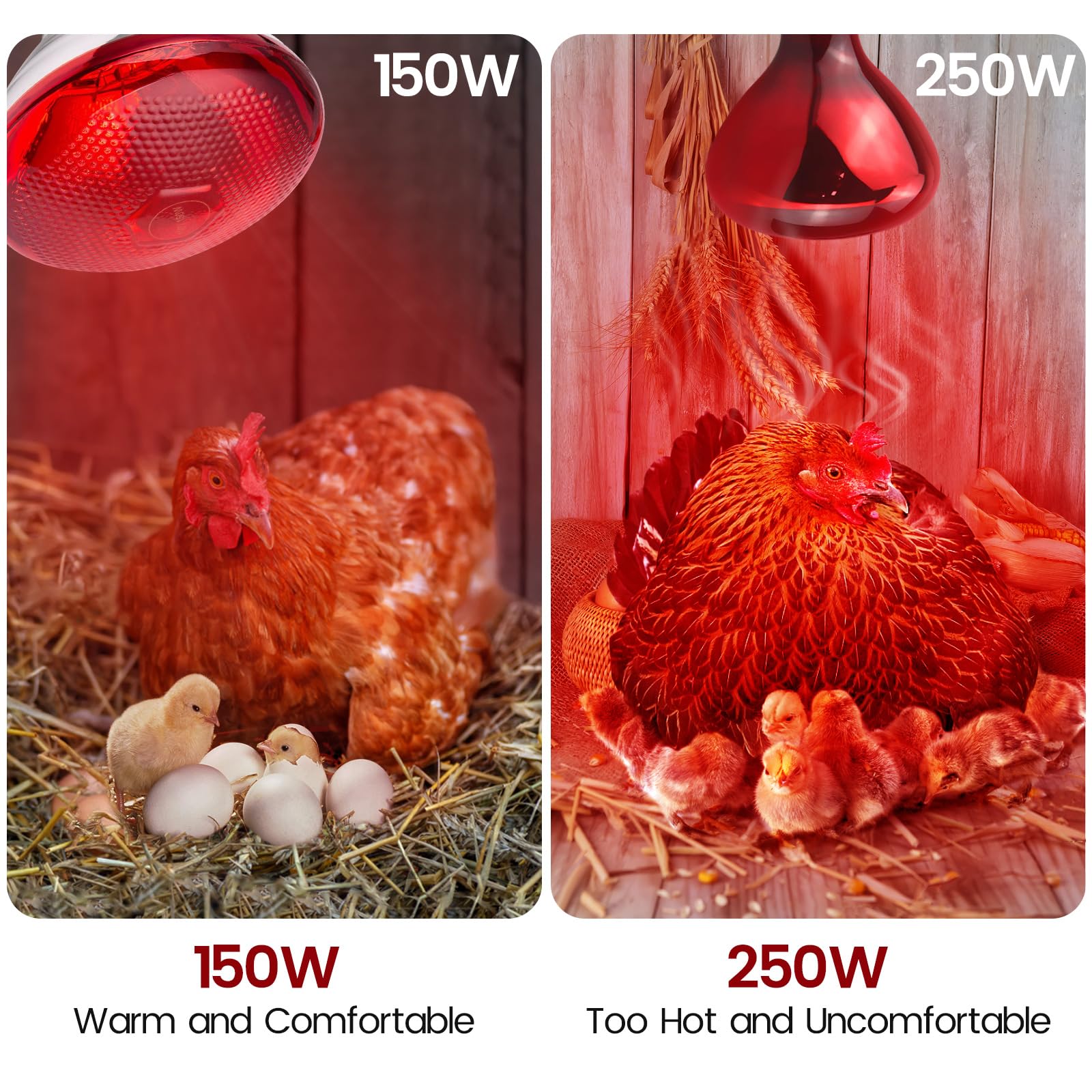 YEAOI 2-Pack Heat Bulb creates steady basking warmth in leopard-gecko habitats.