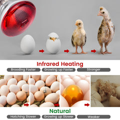 YEAOI infrared red light 150w delivers near-infrared warmth for reptiles at night.