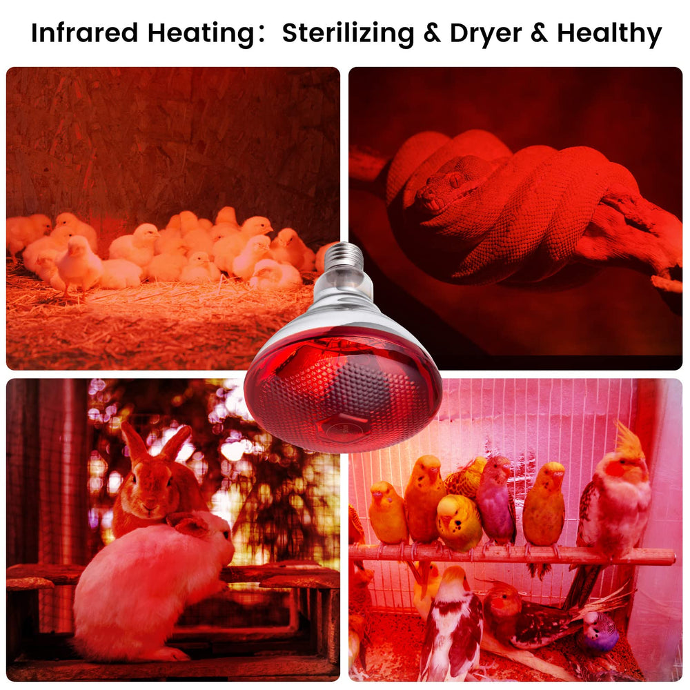 YEAOI night warmth setup for chicks and parrots supports comfortable evenings.