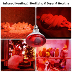 YEAOI night warmth setup for chicks and parrots supports comfortable evenings.