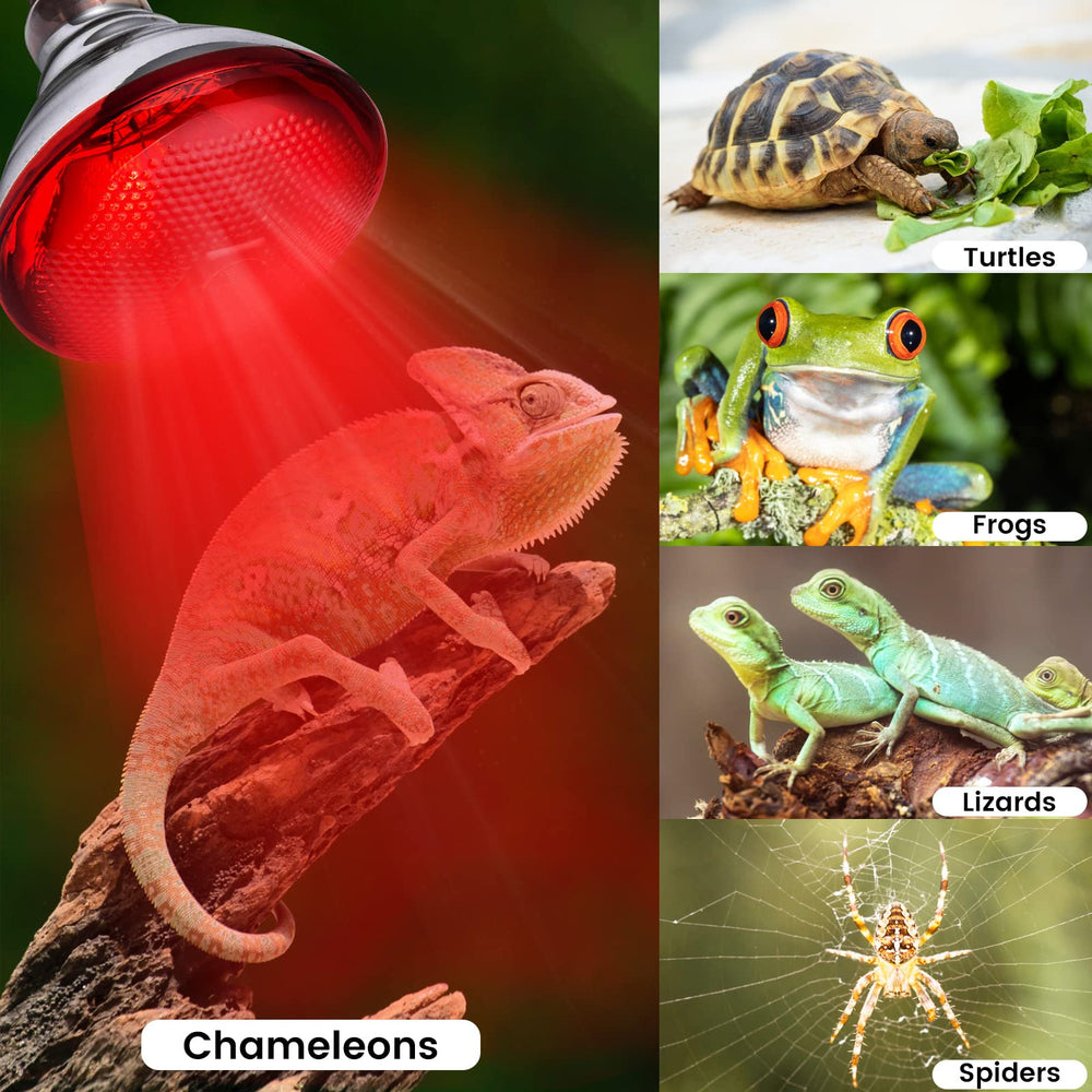 YEAOI reptile heat bulb suited for bearded dragons and geckos.