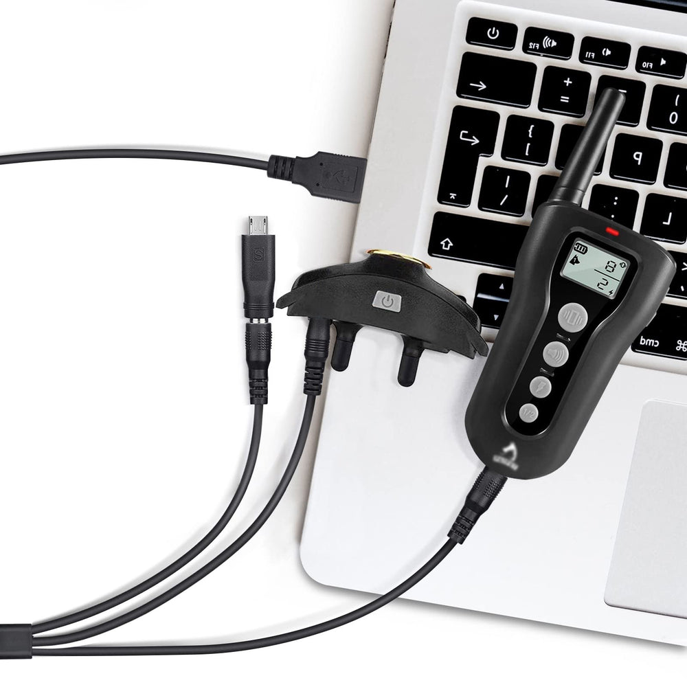 YEAOI shock collar charger Paipaitek Micro-USB view highlights 4-in-1 versatility