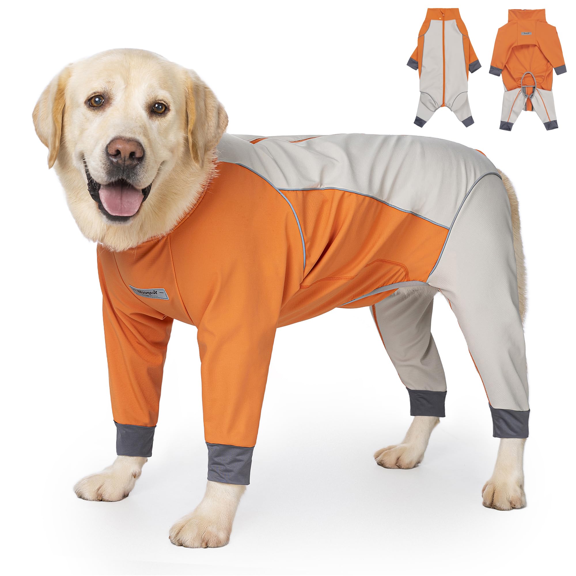 Yeapeeto dog full body winter coat orange front view demonstrates waterproof outer shell for dry walks