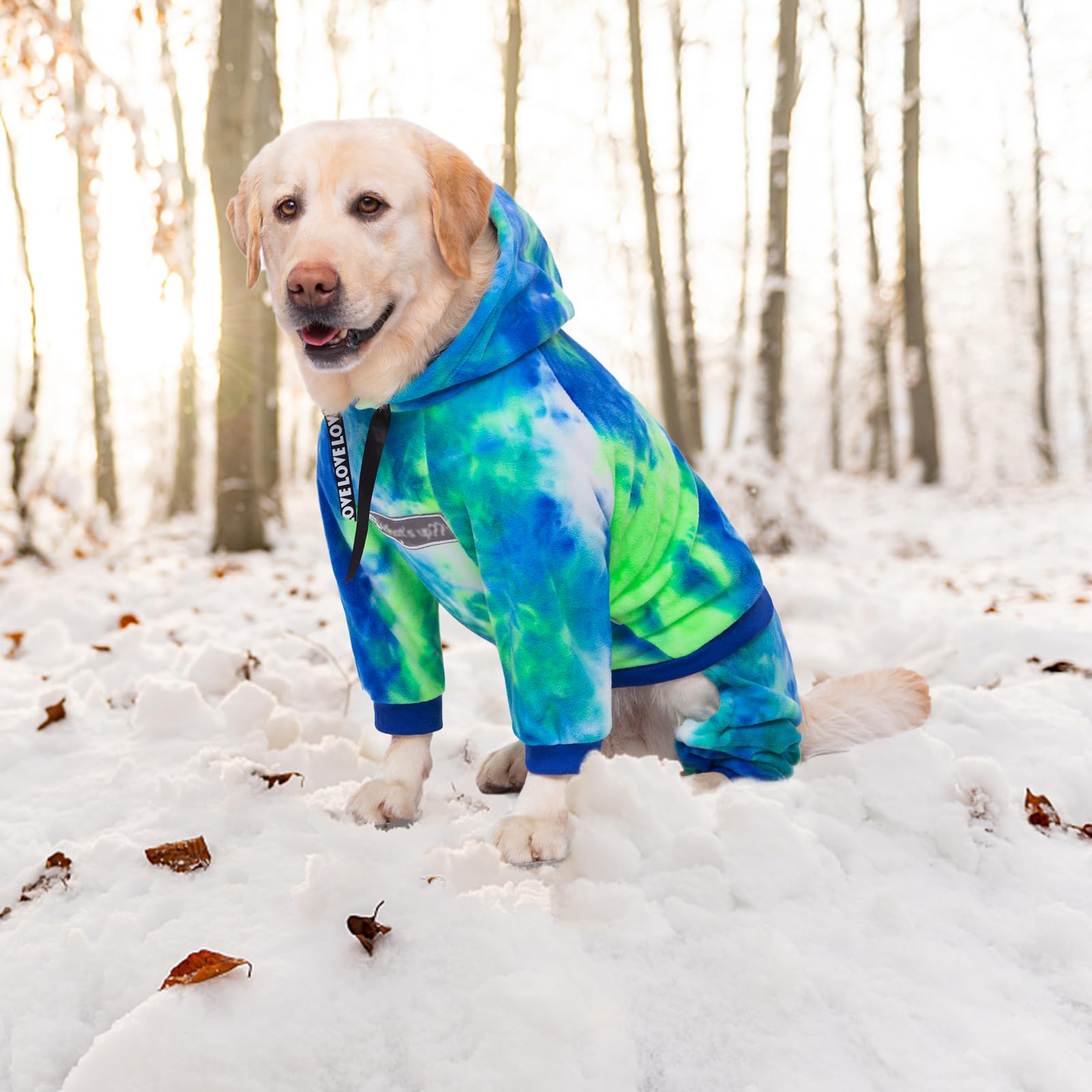 Yeapeeto Bandhnu Green hoodie interior with soft fleece lining.