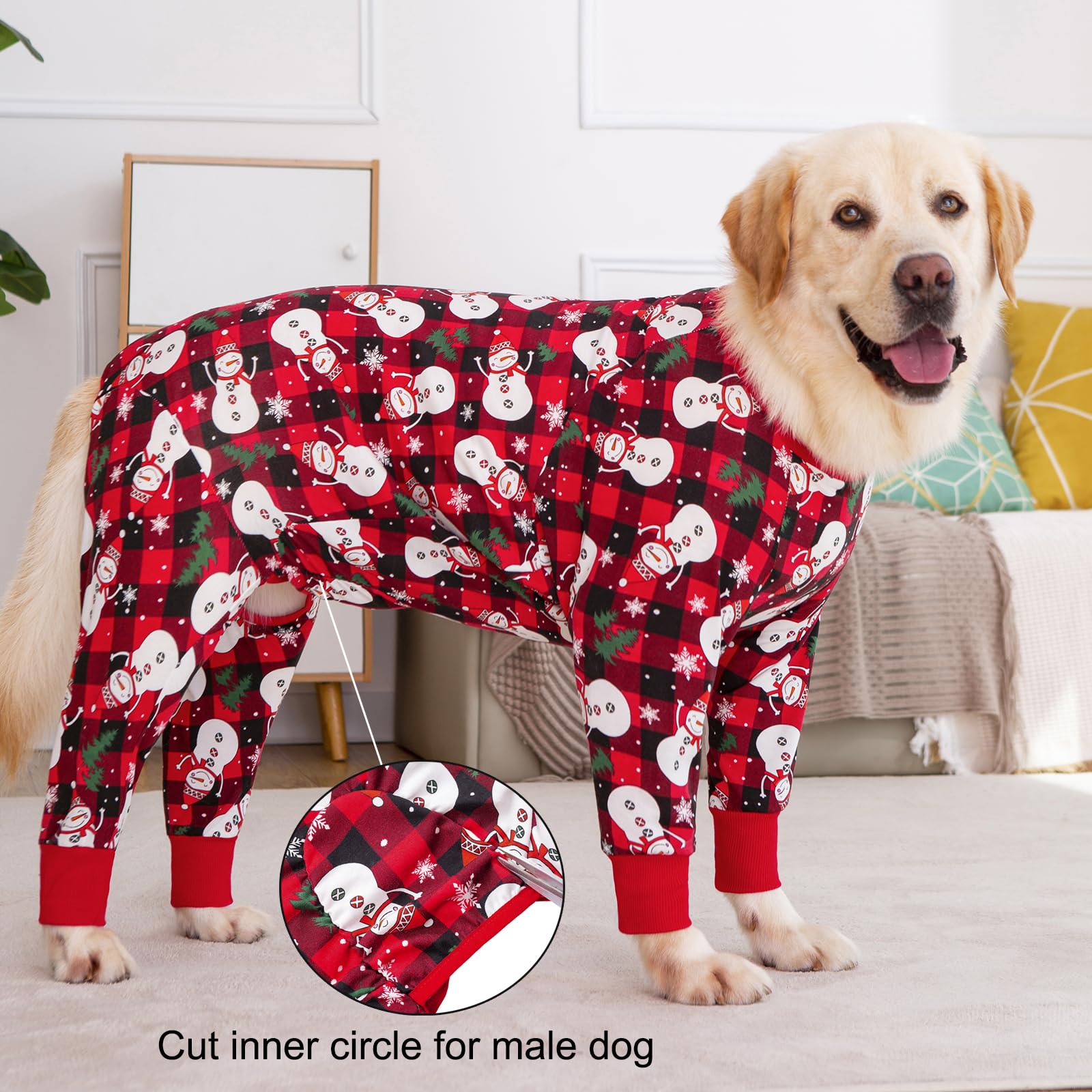 Yeapeeto dog recovery suit on-dog-walking demonstrates freedom to move