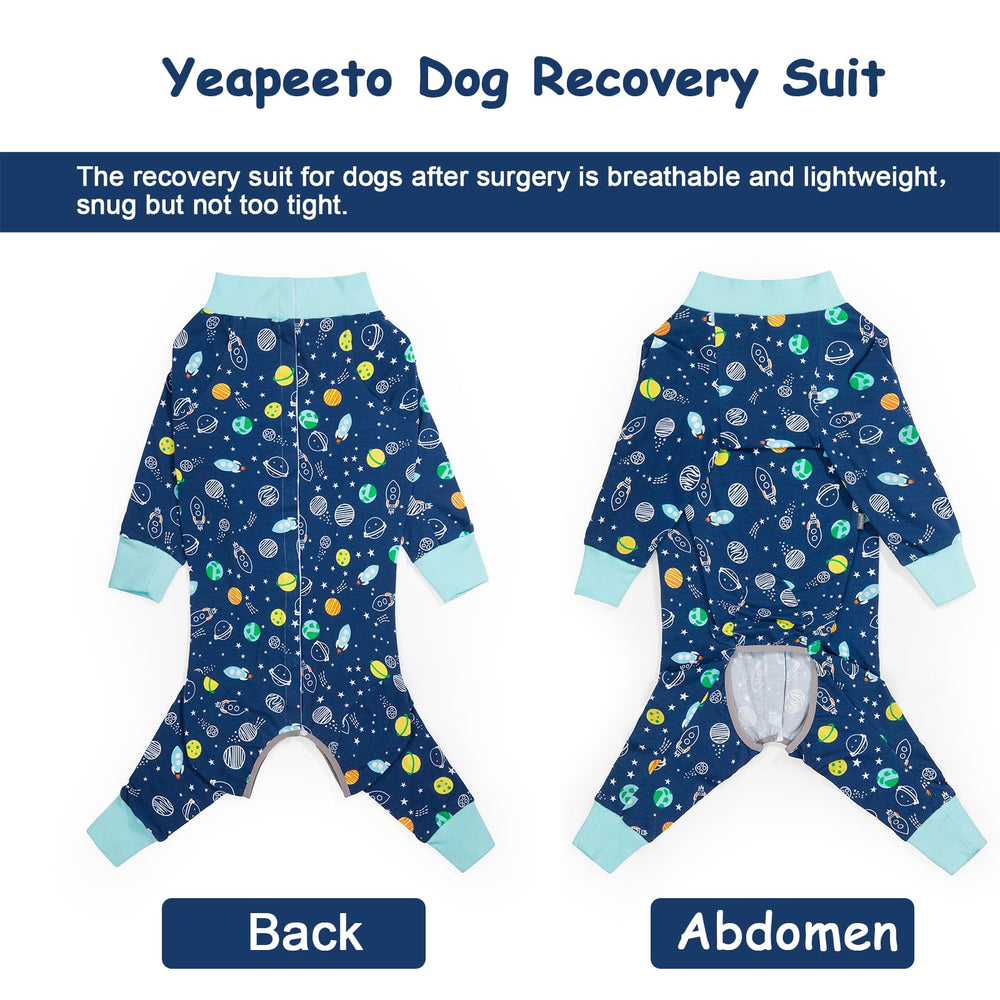 Yeapeeto Recovery Suit back-on dog, illustrating secure fit that reduces licking temptation.