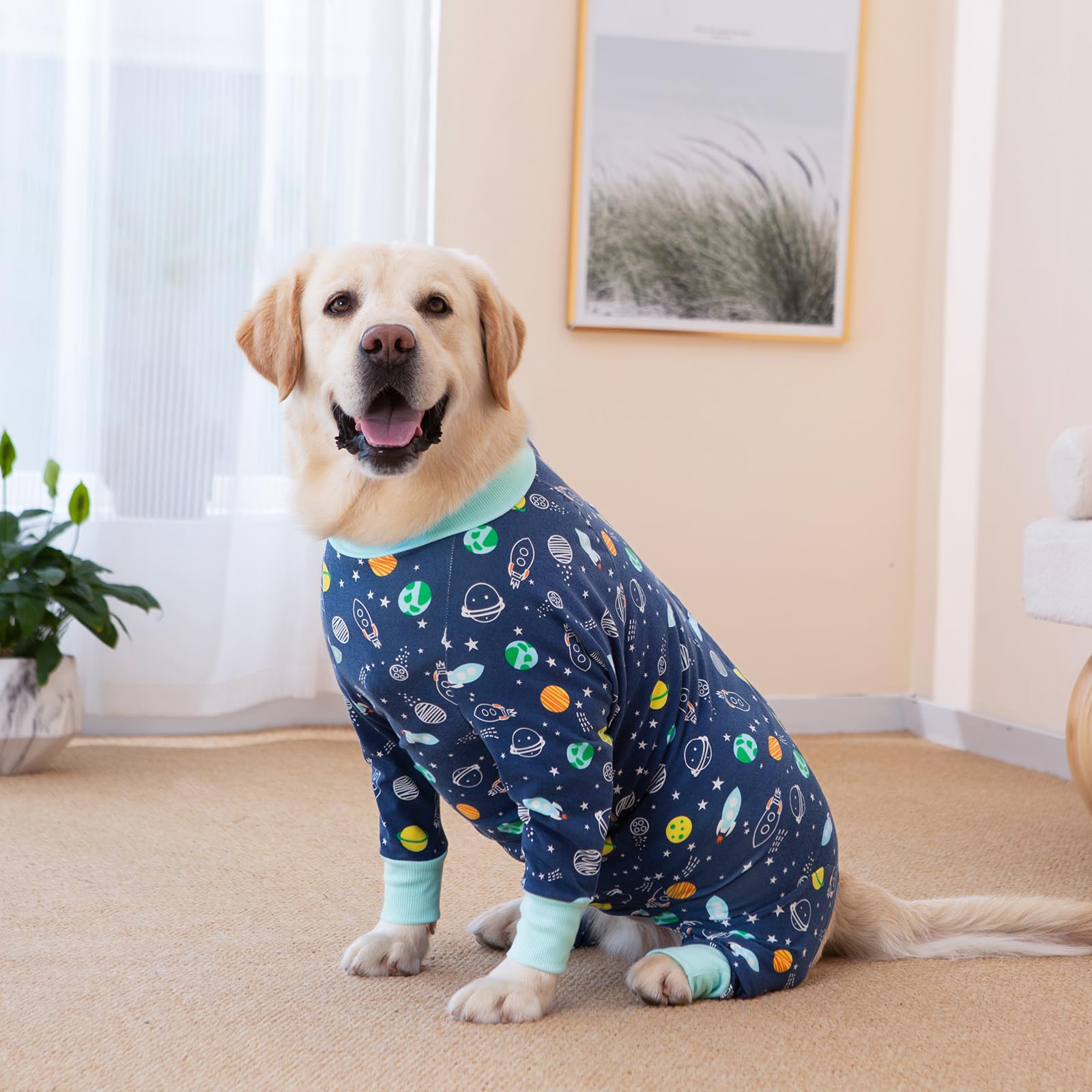 Yeapeeto Recovery Suit machine-washable dog-wear, ready for reusable post-surgery use.