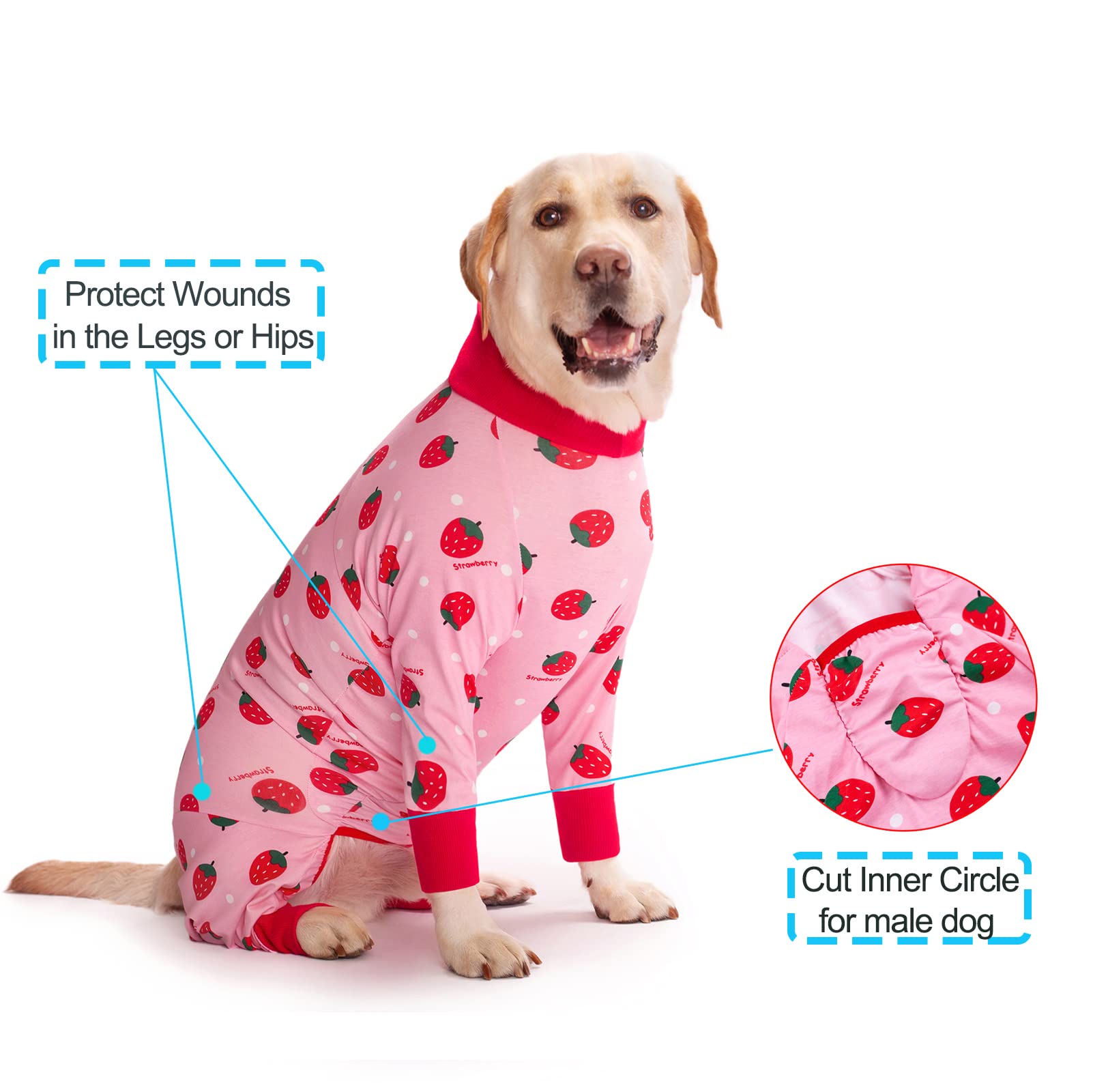 Yeapeeto recovery suit worn as cone alternative, allowing eating and movement after surgery.