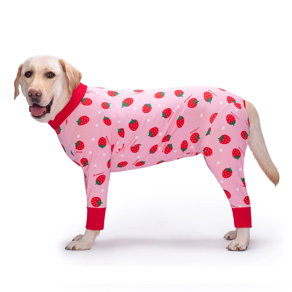 Yeapeeto recovery suit strawberry 6XL worn by dog, gentle coverage for post-surgery comfort.