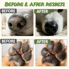 Yeardera nose balm on dog nose highlights lick-safe formula for sensitive skin