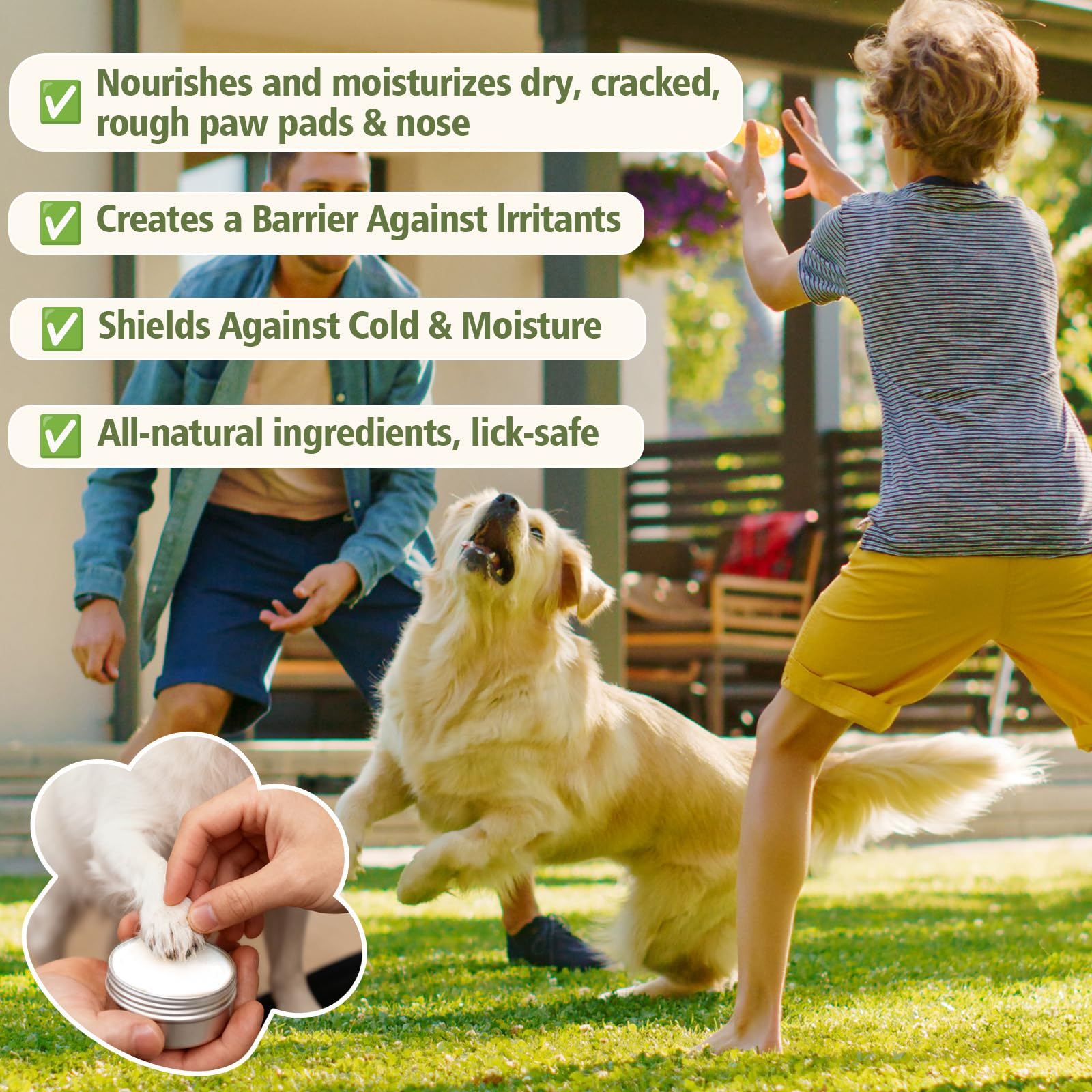 Yeardera year-round paw protection for dry winds and heat