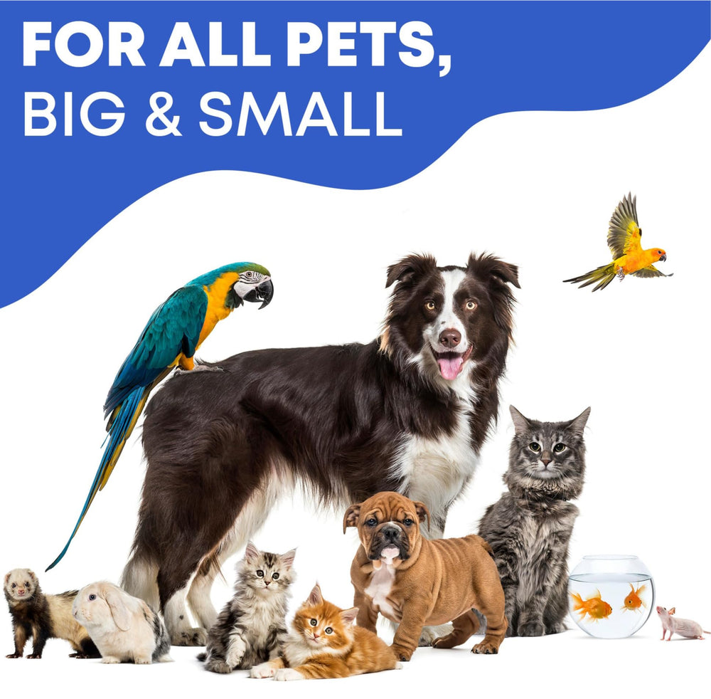 Yeast Otic Ear Cleaner Drops debris removal closeup shows wax and debris removal