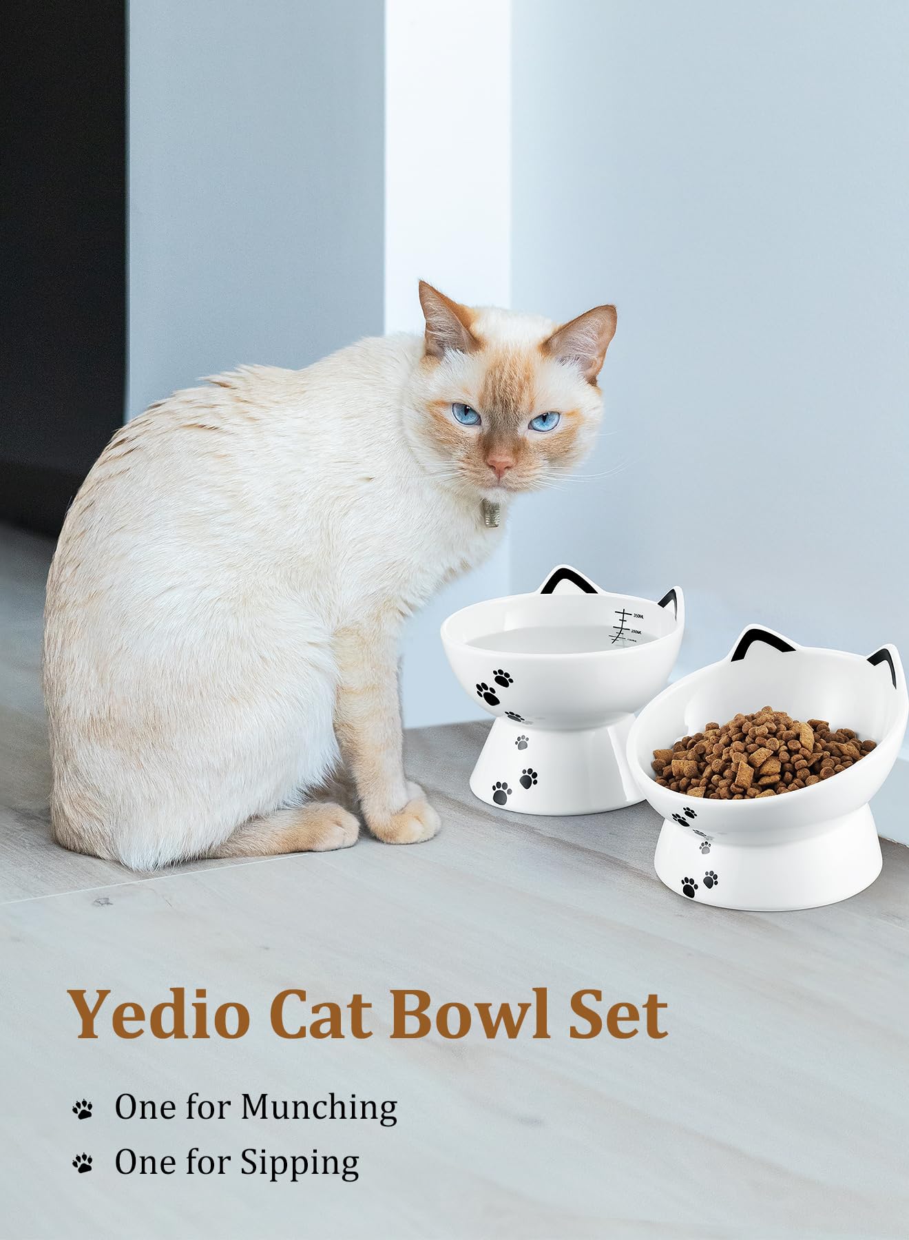 Yedio sturdy porcelain cat bowl combines durability with style