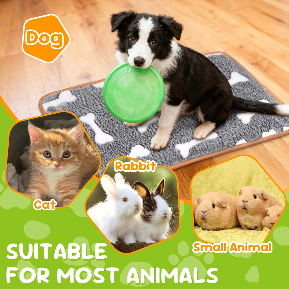 YedsIntu dog blanket demonstrates multi-use as mat, towel, or travel blanket.