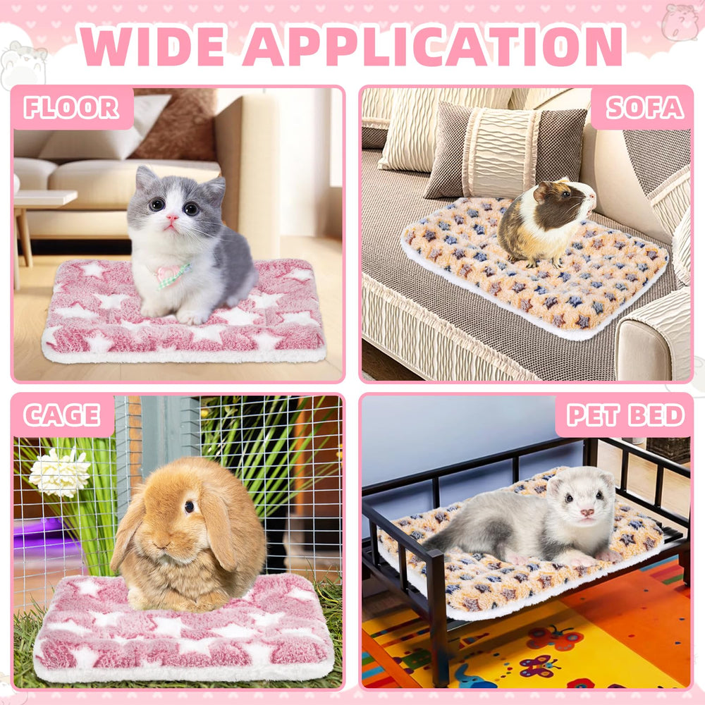YedsIntu machine-washable pet bed shows convenient cleanup after adventures.