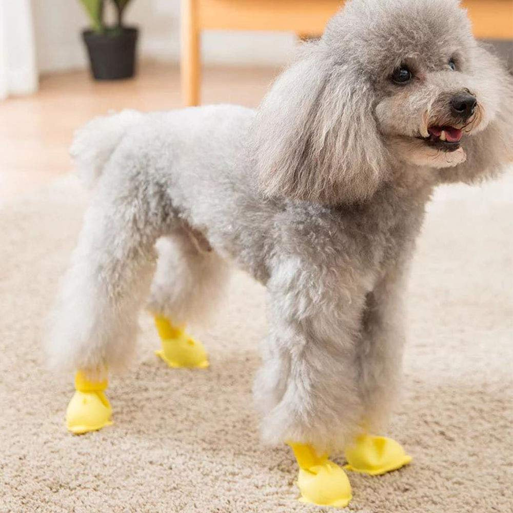 yeduzyn dog wearing boots in snow demonstrates paw protection from cold weather
