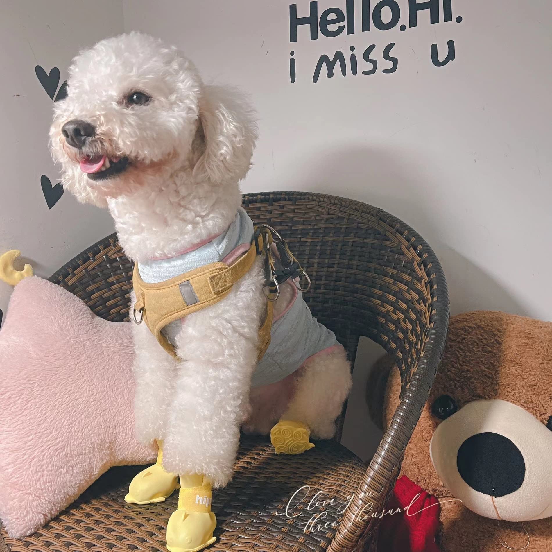 yeduzyn easy-on velcro straps enable quick fitting on dogs