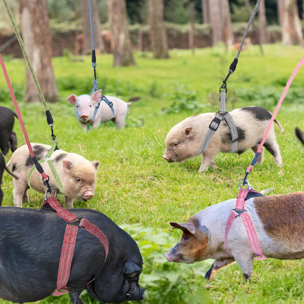 YeeBeny mini pig harness outdoor walking ideal for park and trail outings