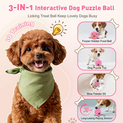 YEENER ice tray for frozen treats highlights DIY flavor options for dogs.