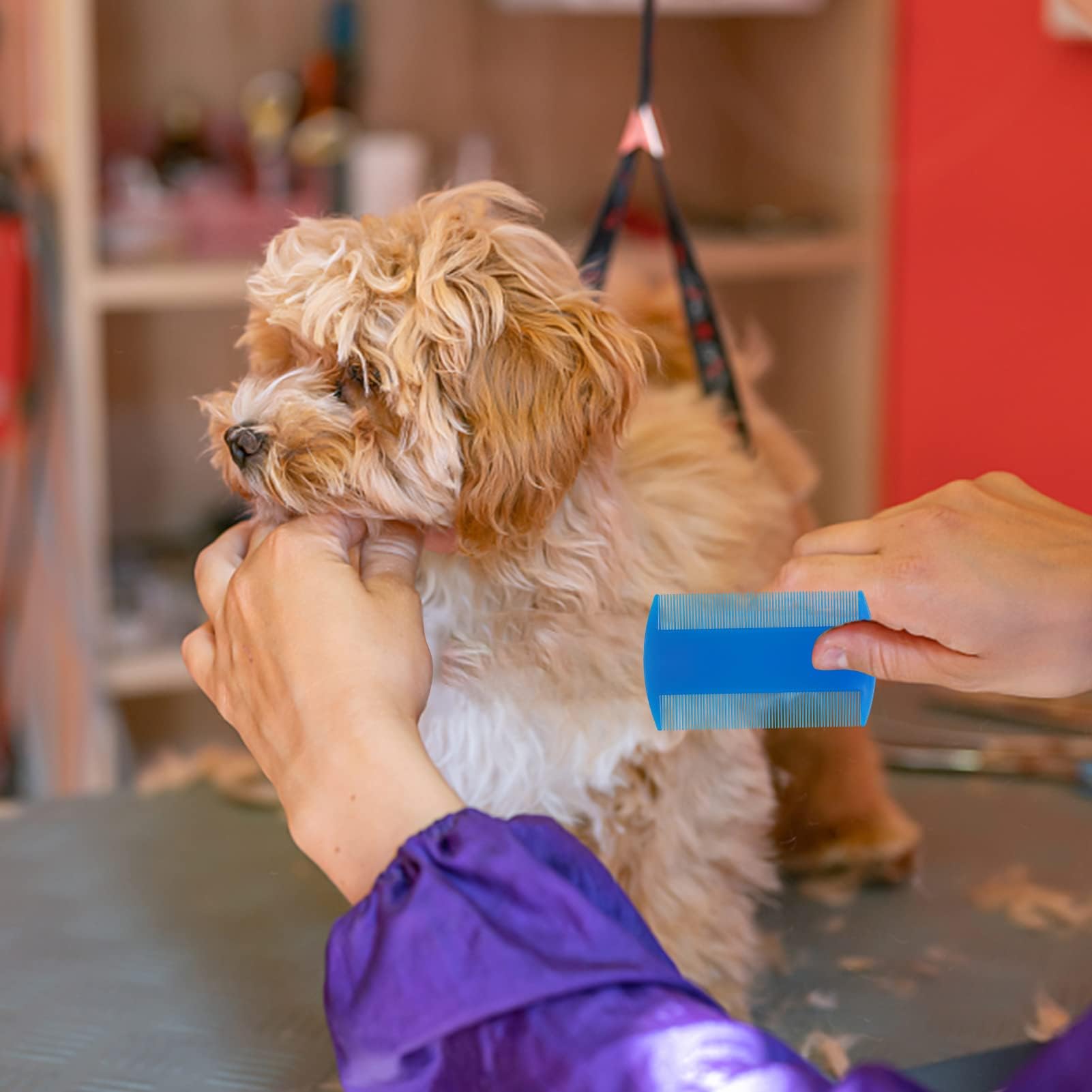 YEEPSYS four-pack grooming set offers value and consistency