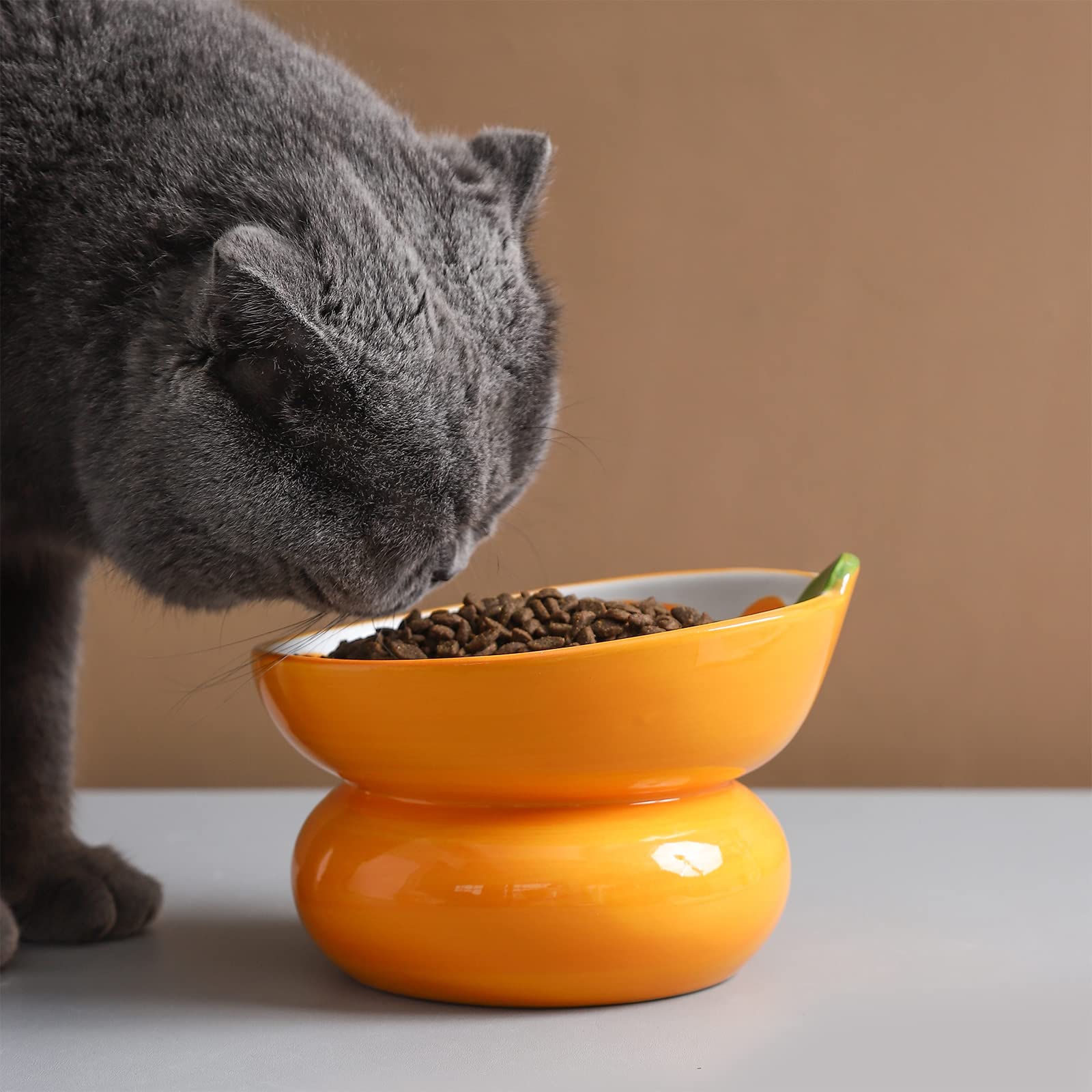 Yeexoxow cat bowl tilted design closeup shows food-safe ceramic glaze and safe materials
