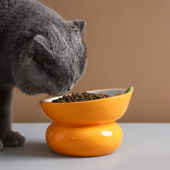 Yeexoxow cat bowl tilted design closeup shows food-safe ceramic glaze and safe materials