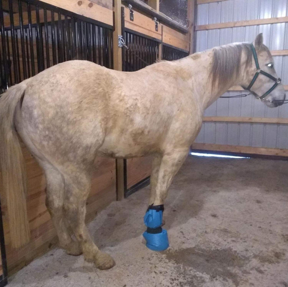 yeezo hoof soaking boot with EVA pad provides comfortable hoof immersion.