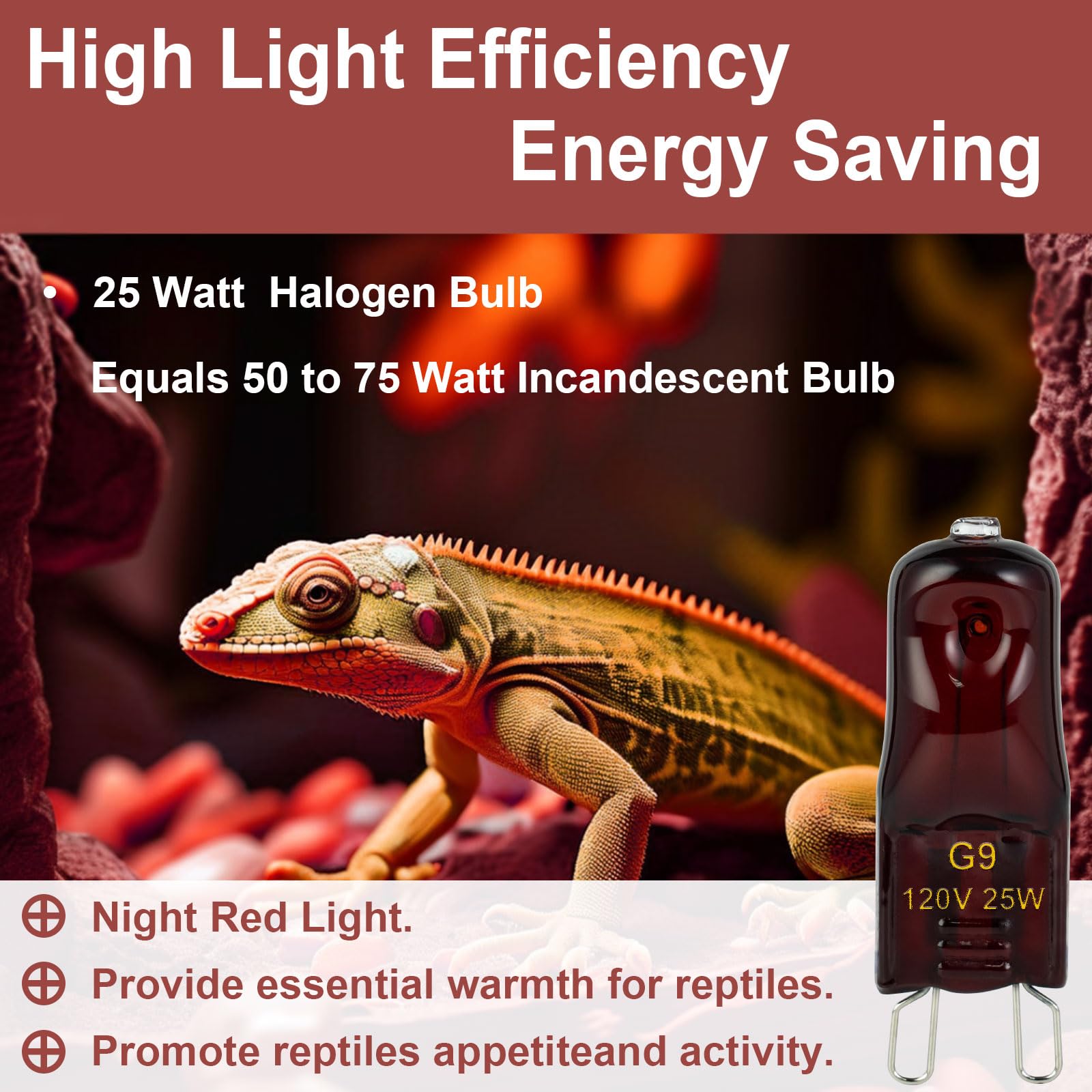 YEGRUEB G9 base mini-halogen detail demonstrating standard connection
