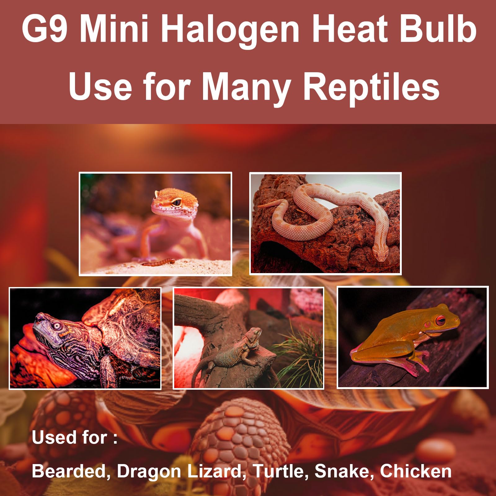 YEGRUEB G9 heat lamp bulbs with energy-saving 25W performance in focus