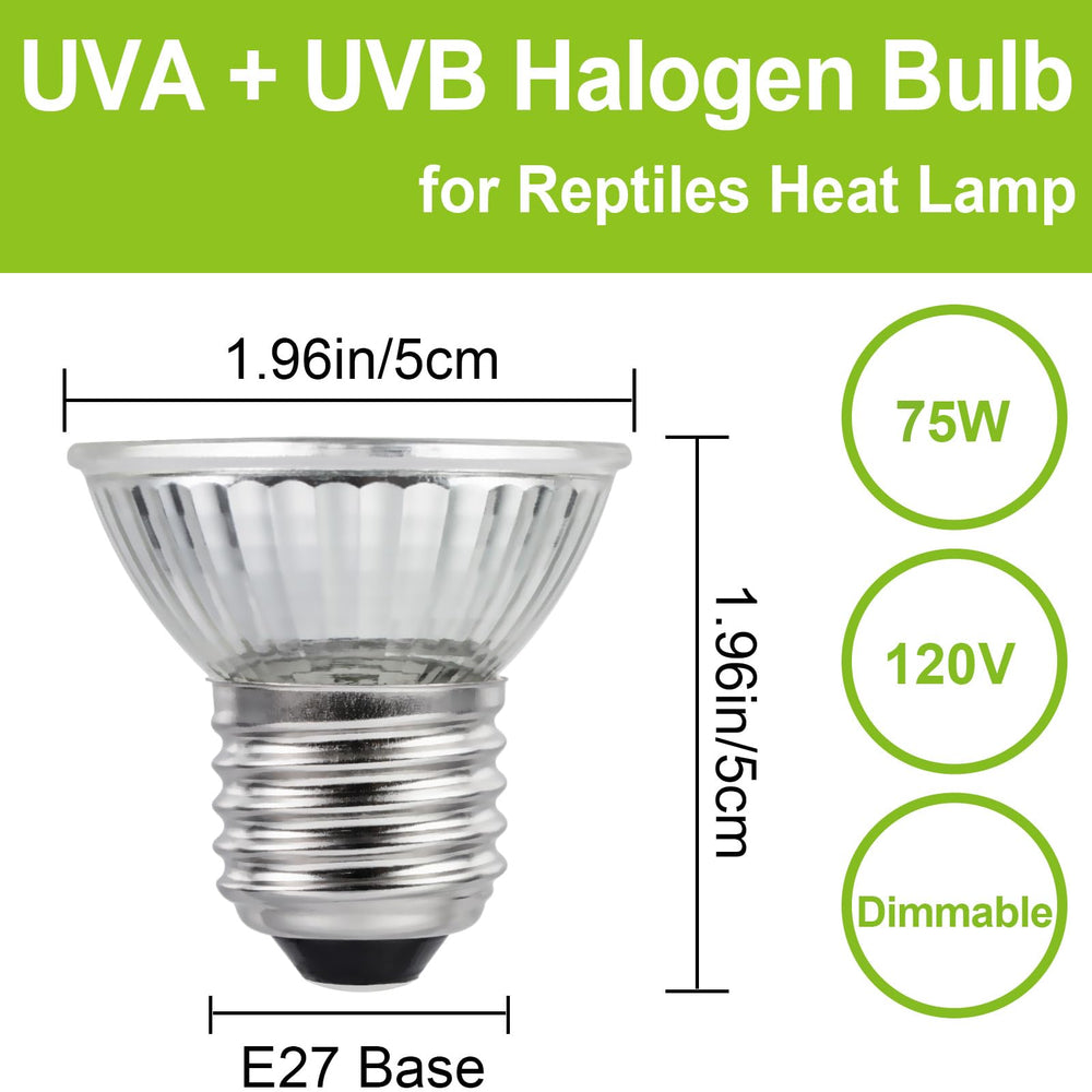 YEGRUEB UVB 75W bulb basking image shows easy installation in a standard fixture.