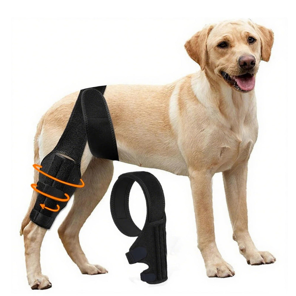 YEHALEANS dog knee brace front view offers stable support for ACL recovery.