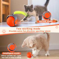 YEMEDA ABS and silicone body demonstrates durable, safe materials for busy pets.