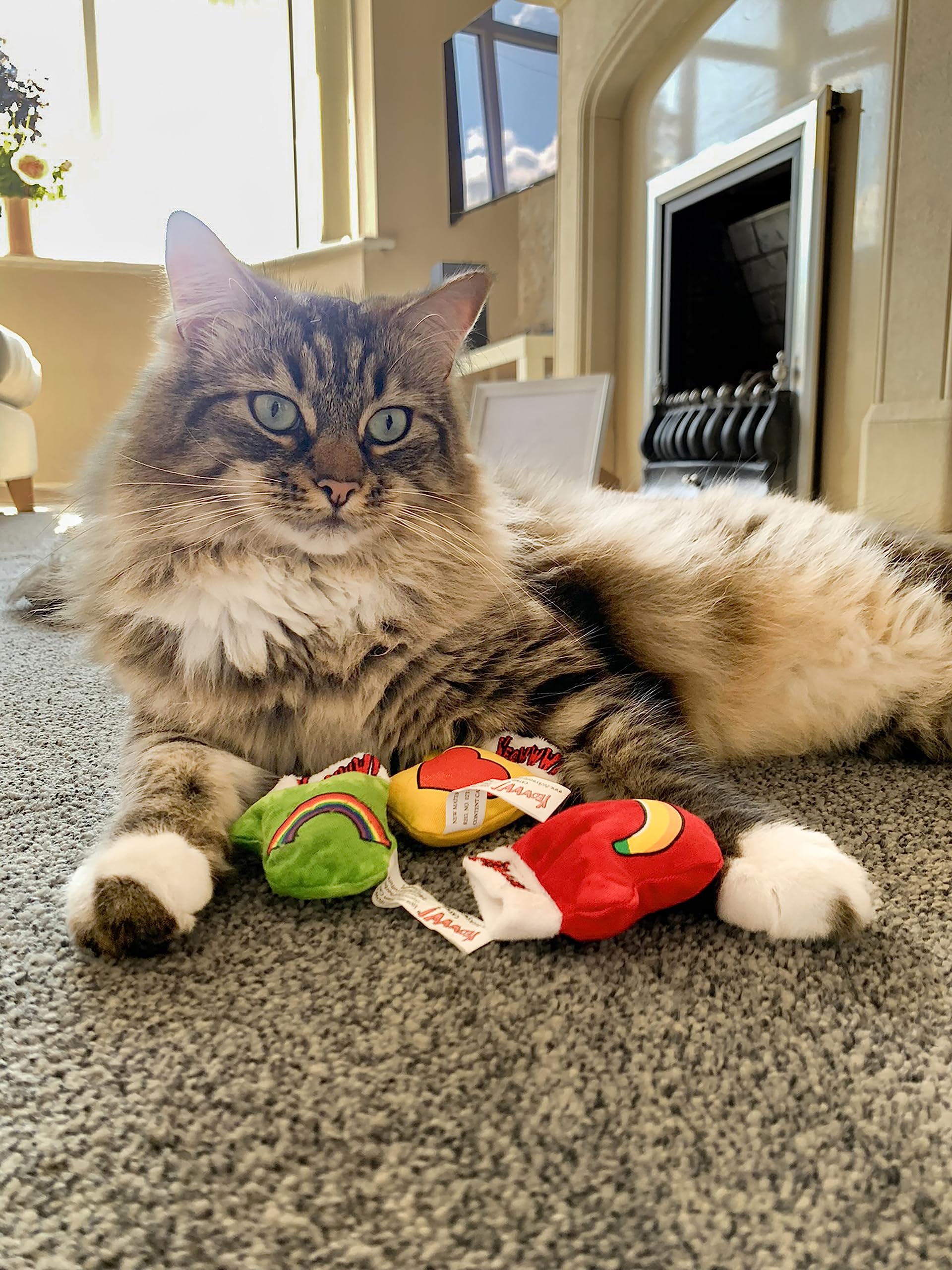 Yeowww! Kitten Mittens pack three on display for shared or multi-cat play