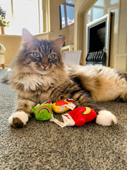 Yeowww! Kitten Mittens pack three on display for shared or multi-cat play