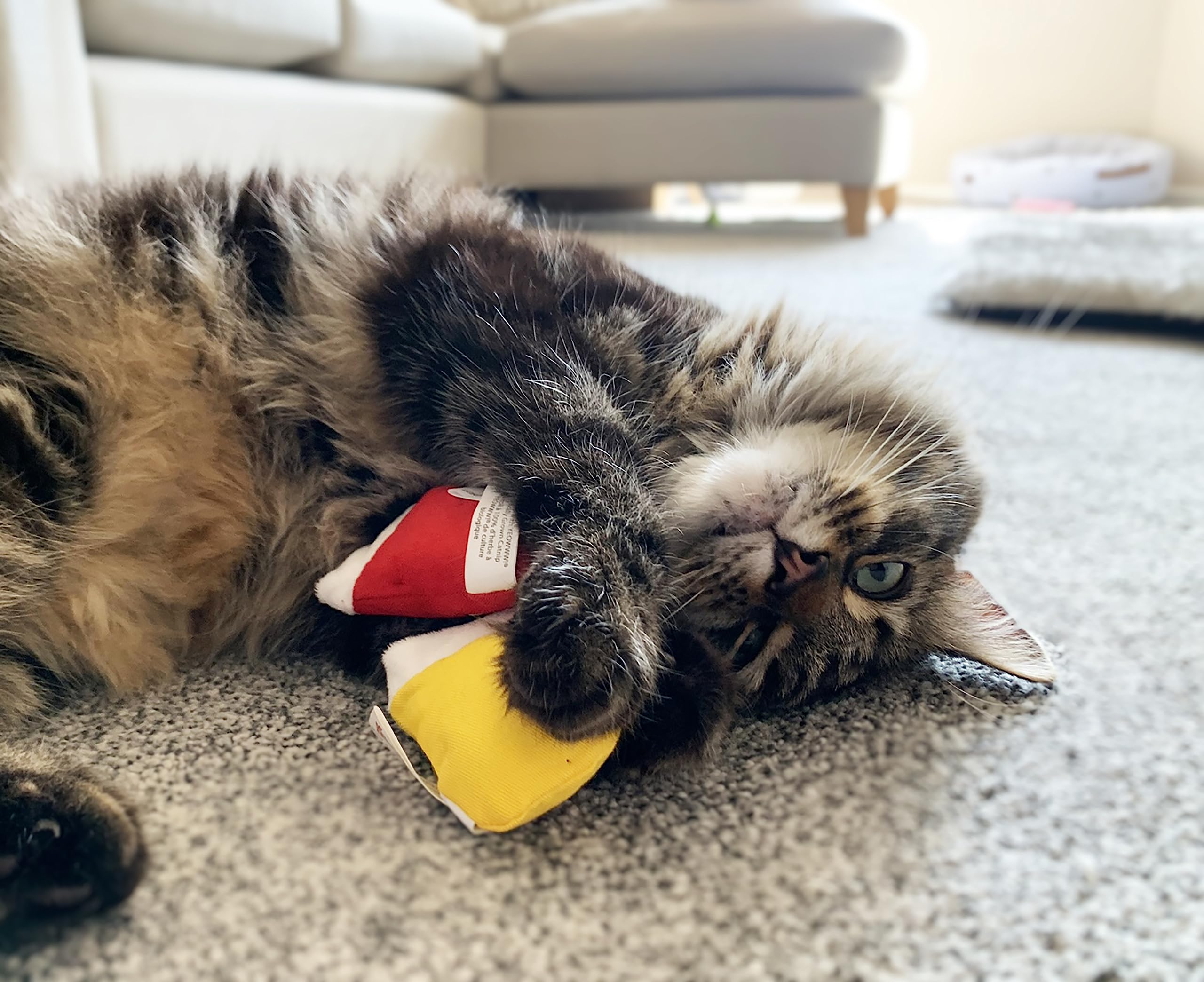 Yeowww! Catnip Kitten Mittens side view emphasizes heavy-duty cotton and USA-made quality