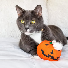 Yeowww Halloween Pumpkin Catnip Toy packaged display emphasizes USA-made craftsmanship and premium catnip.