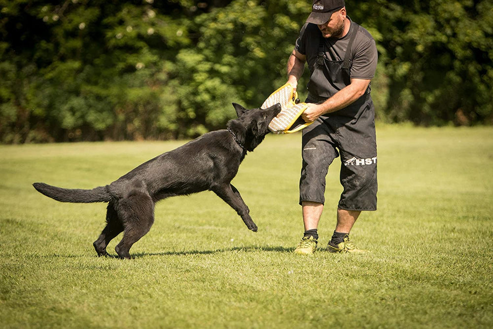 Yes4Quality puppy-safe use example with small to medium dogs.