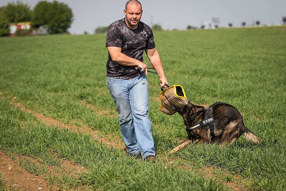 YES4QUALITY Dog Bite Sleeve safe training emphasizes controlled, supervised drills