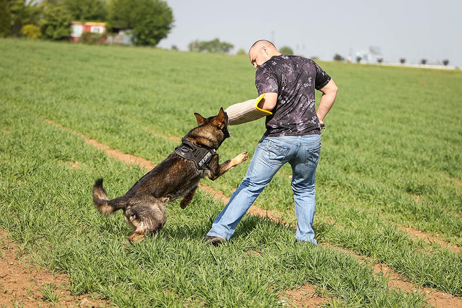 YES4QUALITY Dog Bite Sleeve training setup used in protective and bite work drills