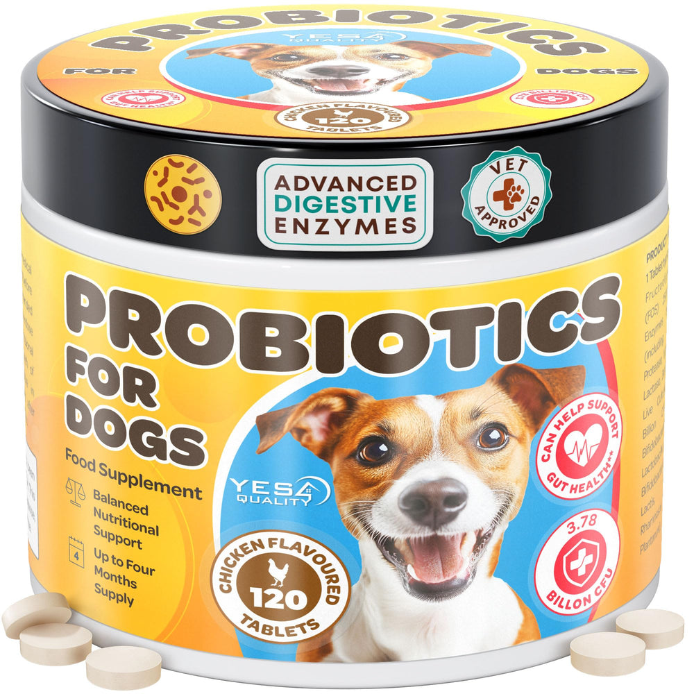 YES4QUALITY Dog Probiotics chews bottle with 120 chicken-flavored tablets for gut support.