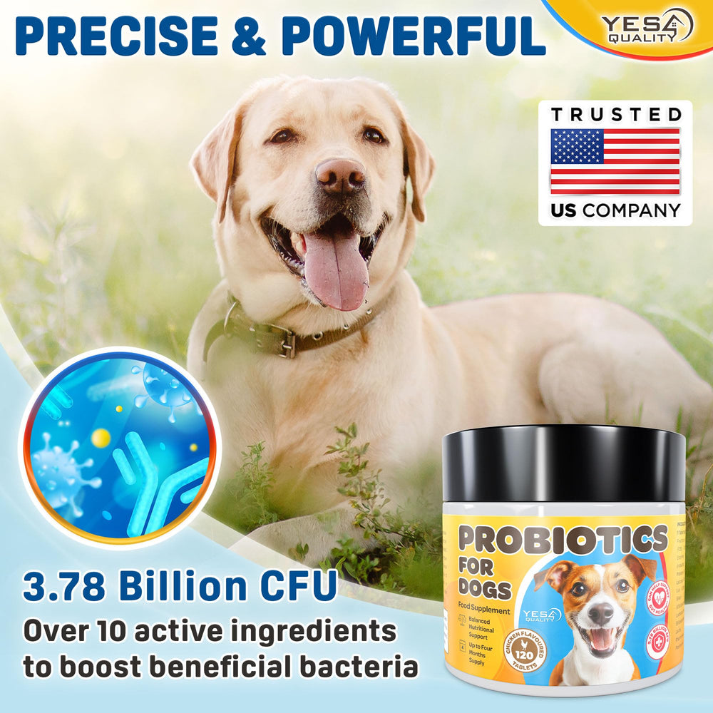 YES4QUALITY Dog Probiotics chicken-flavor chews shown as tasty digestive support treats.