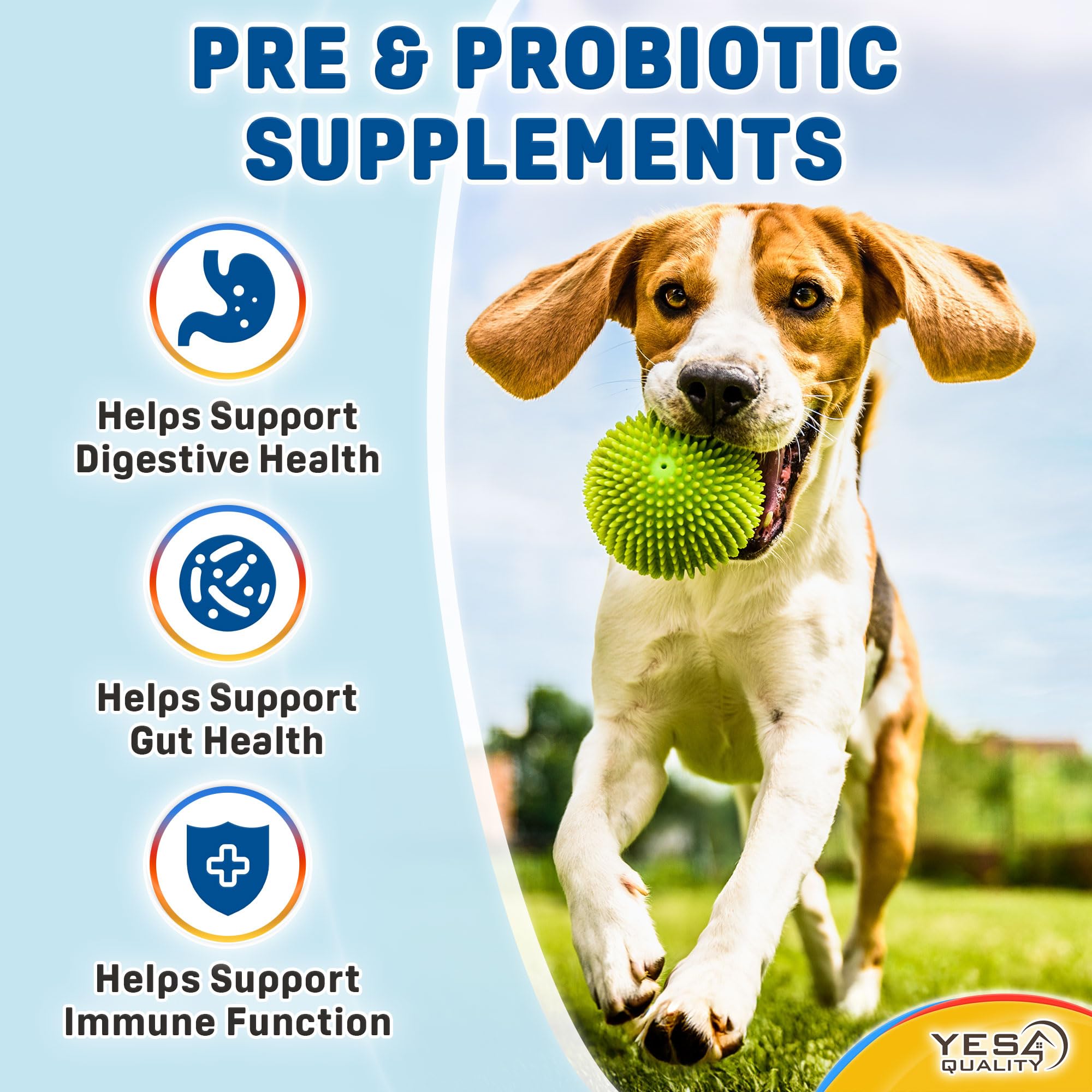 YES4QUALITY Dog Probiotics on a dish, easy to mix with meals for routine gut health.