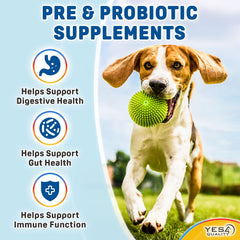 YES4QUALITY Dog Probiotics on a dish, easy to mix with meals for routine gut health.