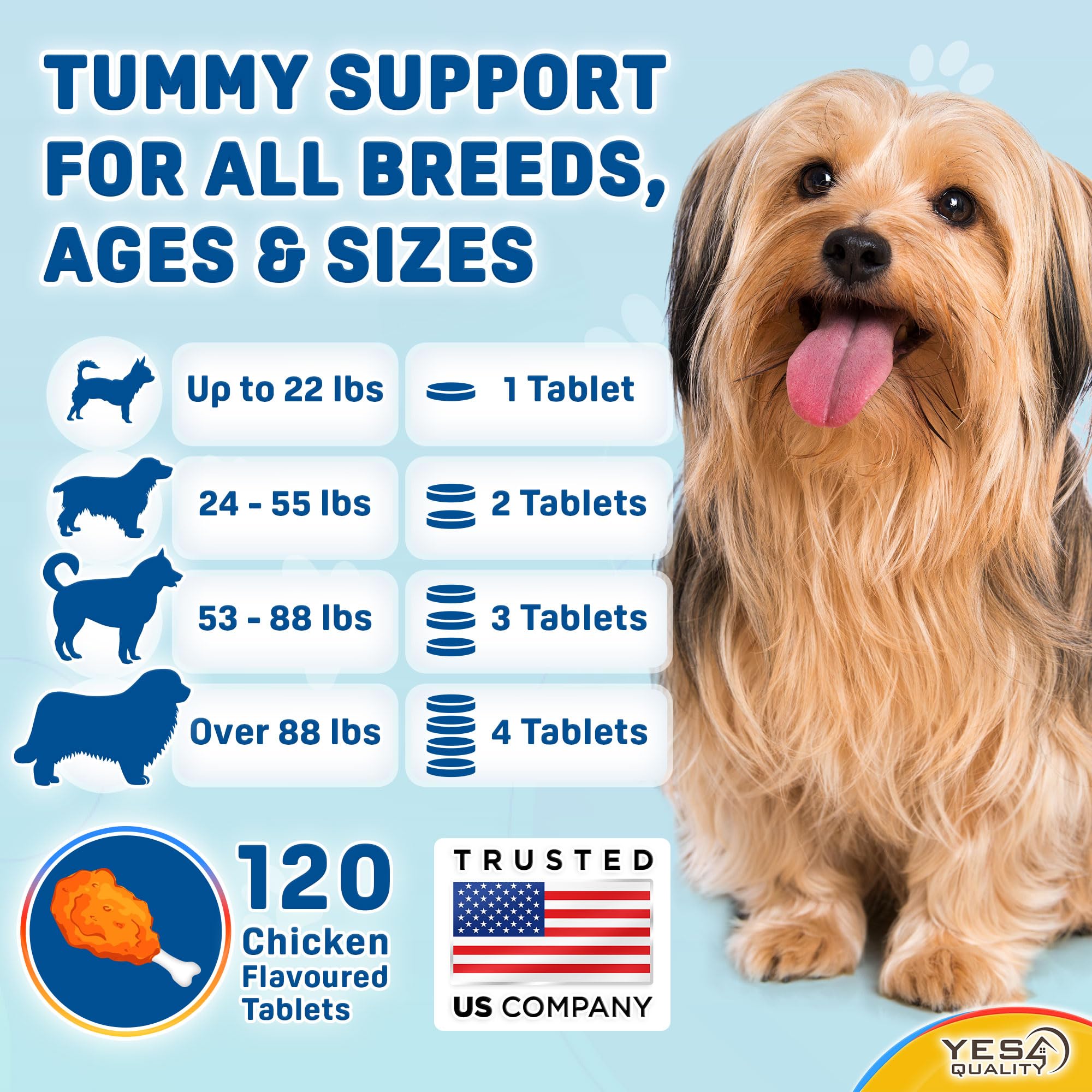 YES4QUALITY probiotic treats alongside a dog-friendly tray, convenient daily digestive care.
